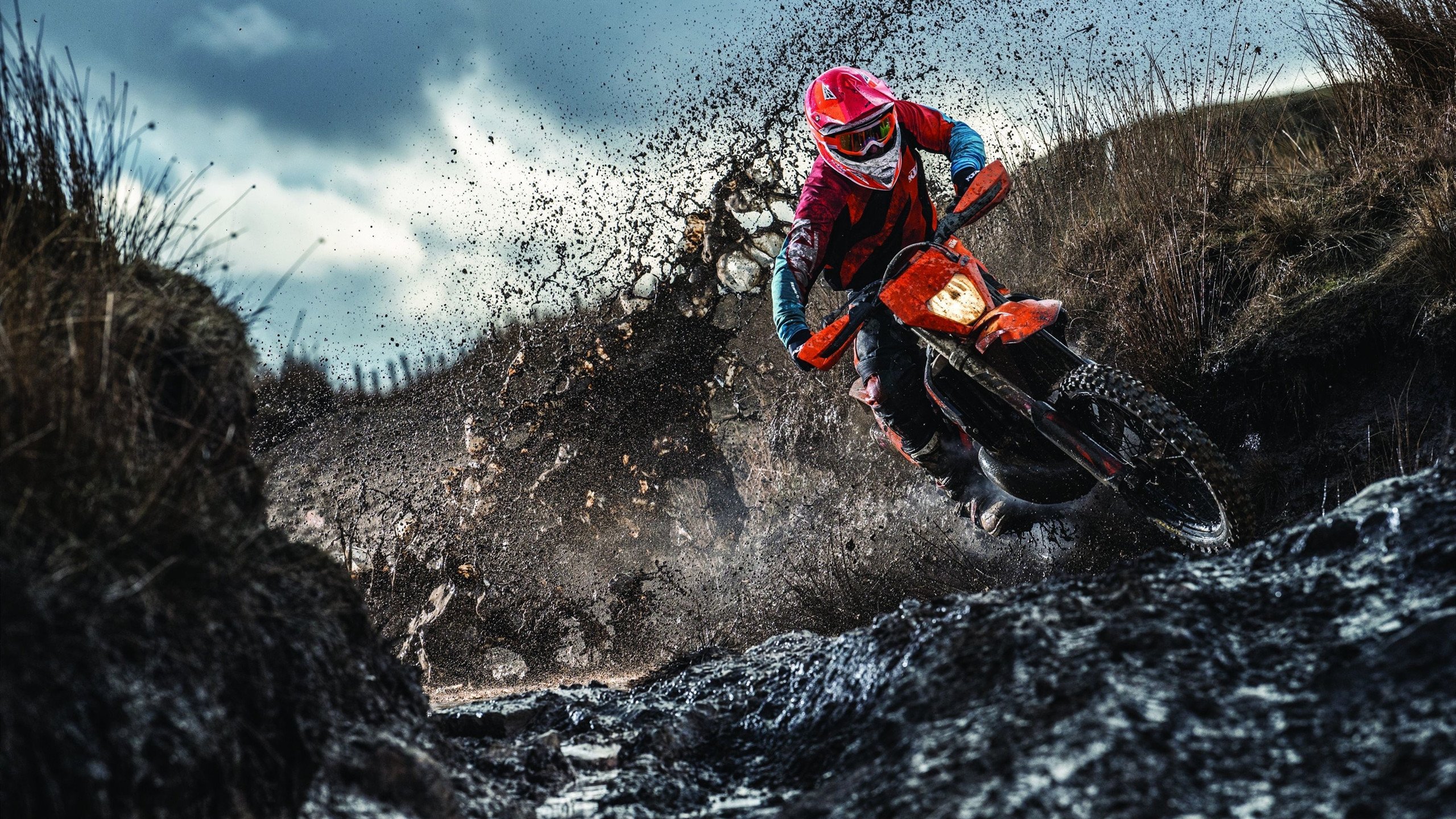 仰泳强项希腊坚持到底获突破，仰泳解析