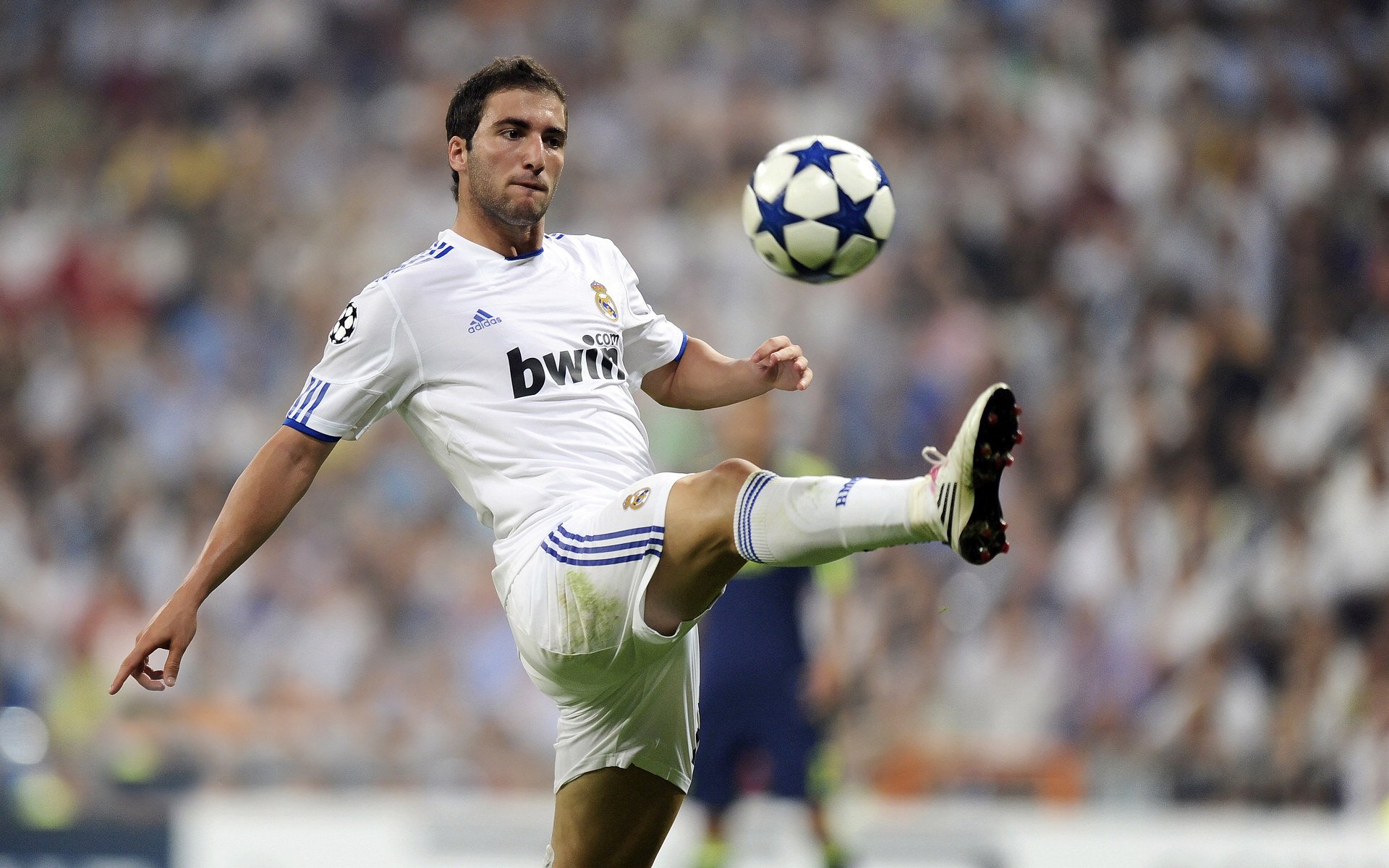 格林伍德凭借强大的防守覆盖能力，为袋鼠队抵挡对方攻势，格林伍德球员